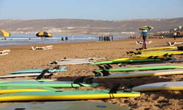 "Surfboards lined up on the beach, ready to be used."