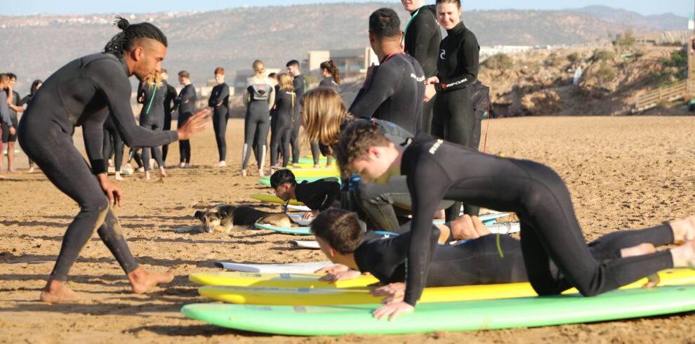 Surfing Lesson